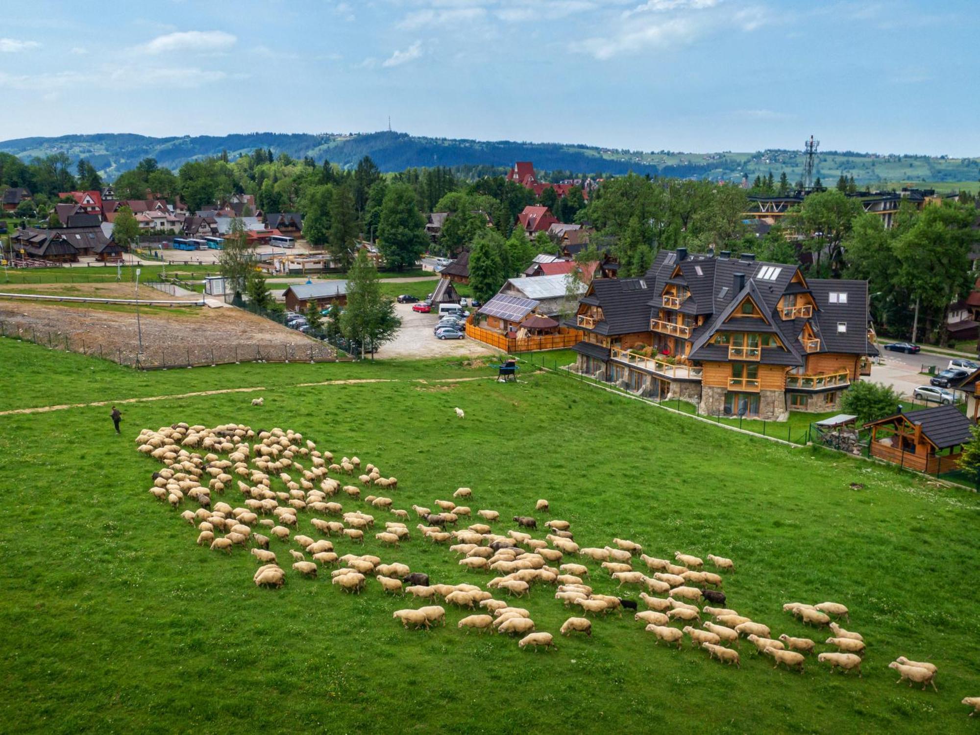 Nosal Apartment Zakopane Luaran gambar